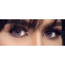 Fresh Eyes Daily Contact Lenses Brown PG-2