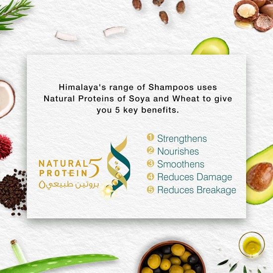 Himalaya Anti Dandruff Gentle Clean Shampoo With Tea Tree And Rosemary 400 ml