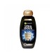 Garnier Ultra Doux Shampoo With Black Charcoal and Black Seed Oil 200ML