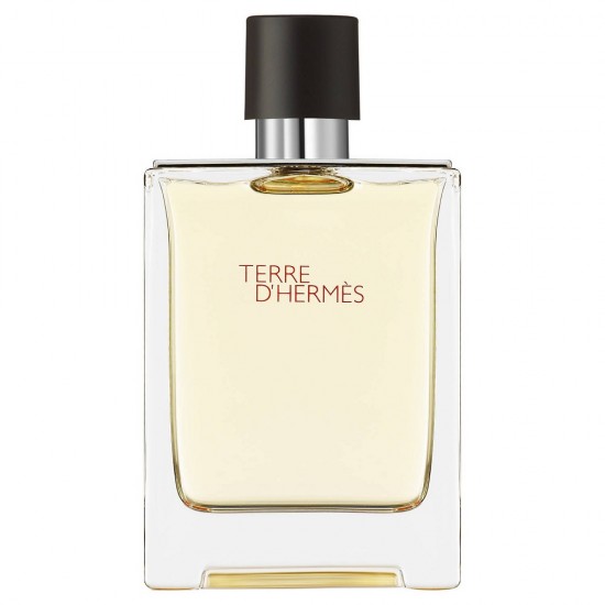Hermes Terre d'Hermes Perfume - Eau de Toilette 100 ml