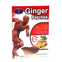Aichun beauty Ginger Patches For Fast Relief from Pain - 12 Patches 
