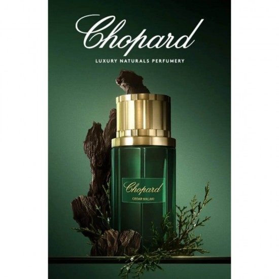 Chopard Cedar Malaki Perfume For Men - Eau de Parfum 80 ml