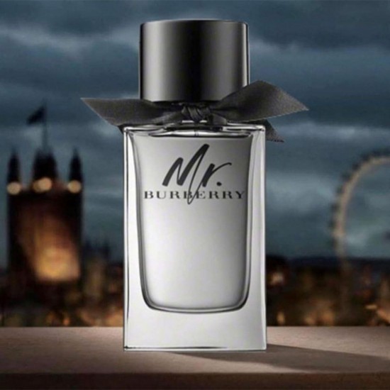 Burberry Mr. Burberry perfume for men Eau de Toilette - 100 ml