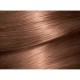 Garnier Color Natural 6.25 Chestnut Brown Hair color